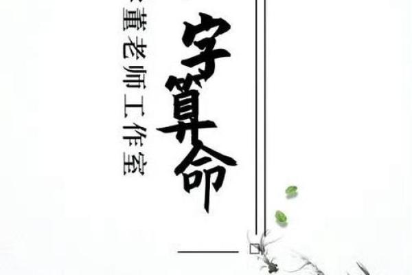 八字私生子