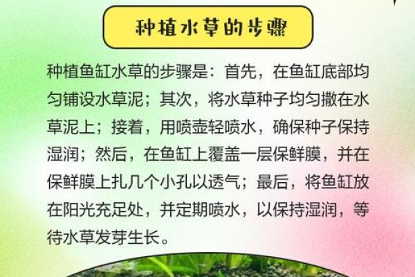 八字水旺农业：优质水草培育技巧分享