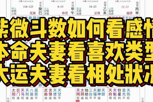 紫微斗数看配偶及恋爱婚姻之:刑克配偶的命 紫微斗数看配偶及恋爱婚姻之:刑克配偶的命