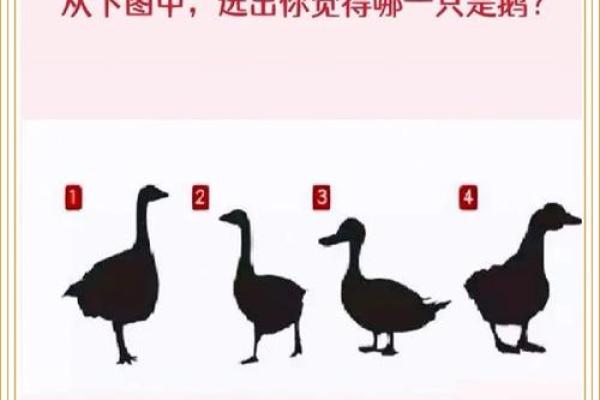 性格心理测试 你的性格为何
