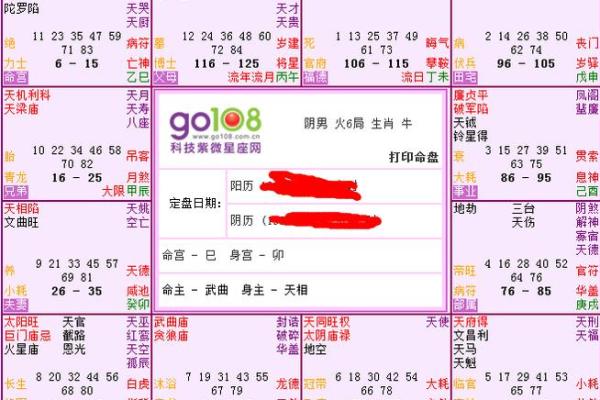 命带紫薇星是什么