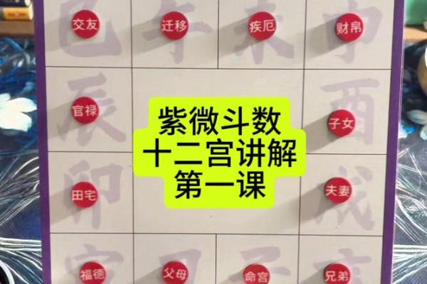 南辰紫薇斗数