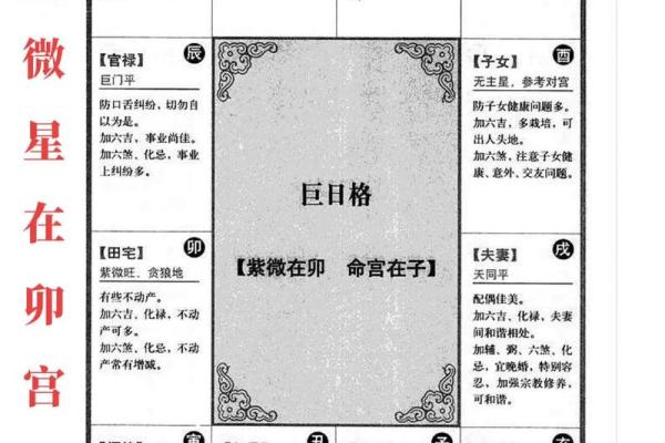 紫薇斗数命盘排盘软件