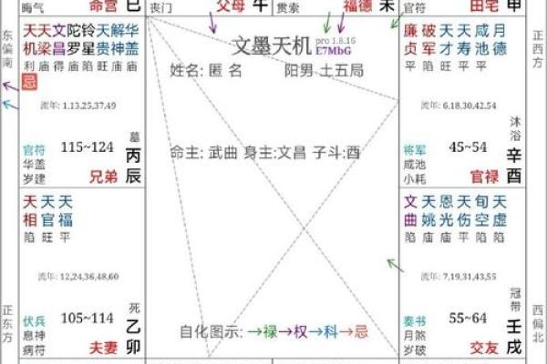 紫薇斗数夫之疾