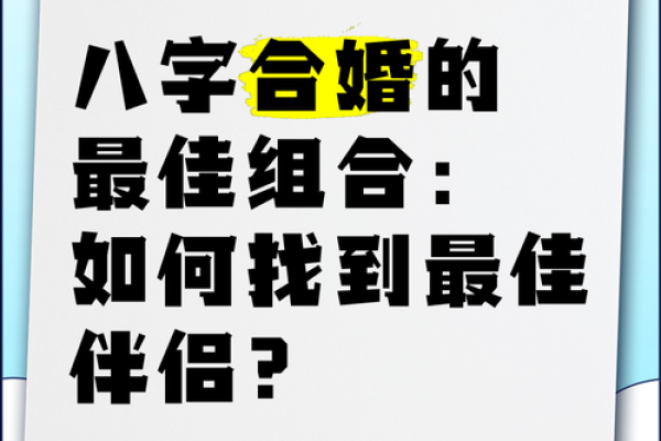 八字合盘