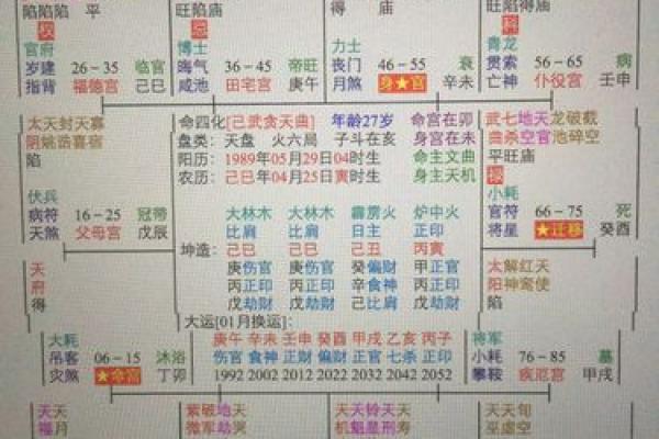 广州看紫薇斗数