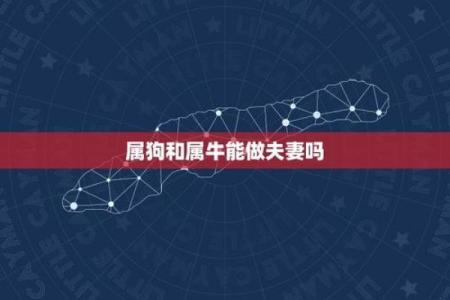 属狗和属牛的八字合吗