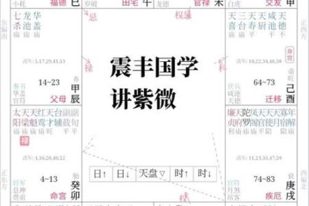 紫微斗数算命详解 紫微斗数测算命运？