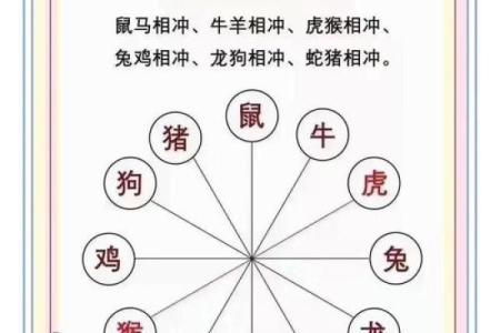 八字算命生肖相冲是什么意思