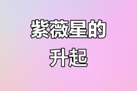 娱乐圈紫薇星