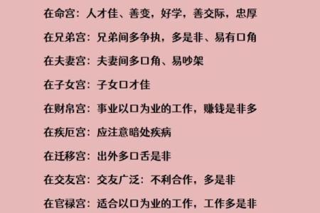 紫薇斗数小流连