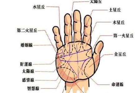 胎记算命讲解