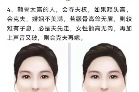 颧骨面相 颧骨面相算命图解