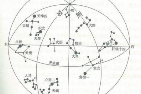 紫薇星盘怎么排