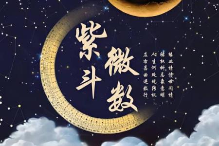 香港紫薇斗数高人