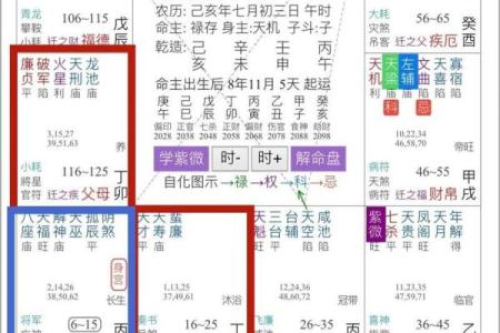 紫薇斗数全解PDF的简单介绍