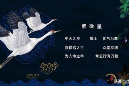 紫薇斗数斗君