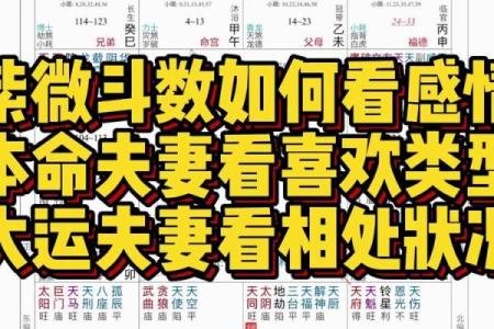 紫微斗数看配偶及恋爱婚姻之：刑克配偶的命