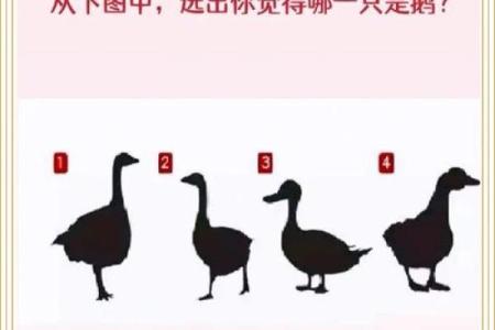性格心理测试 你的性格为何