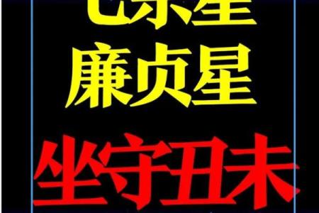紫薇斗数重逢