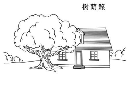 房子周围栽树风水