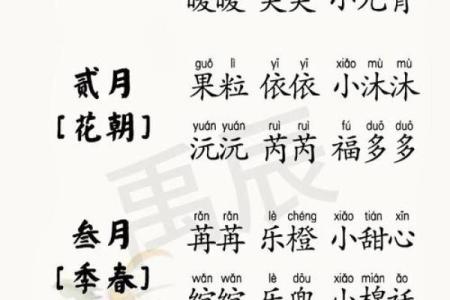 生辰八字测名字打分