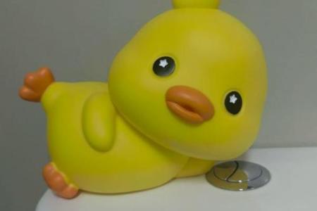 小黄鸭 风水