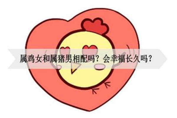 合八字属鸡和属猪的适合做夫妻吗
