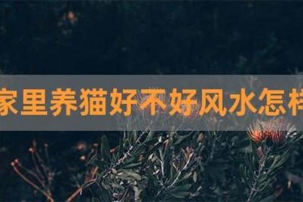 养鱼技术有决窍, 八字精华要记牢