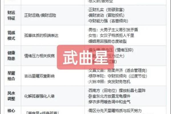 紫薇斗数武曲详解