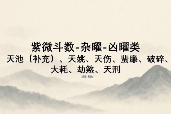 紫薇斗数小说