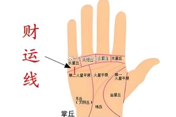 掌纹算命可靠
