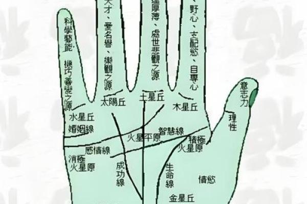 掌纹算命可靠