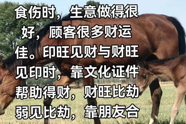 八字财运重要