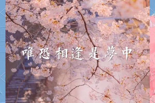 相濡以沫八字情诗 八字情诗中的相濡以沫意味着什么