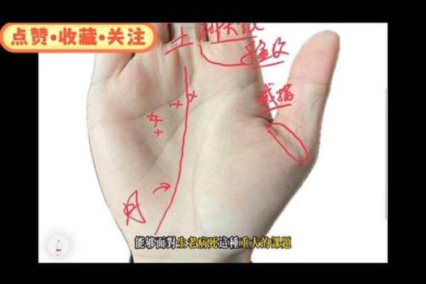 凯帝阿手相算命图解大全03