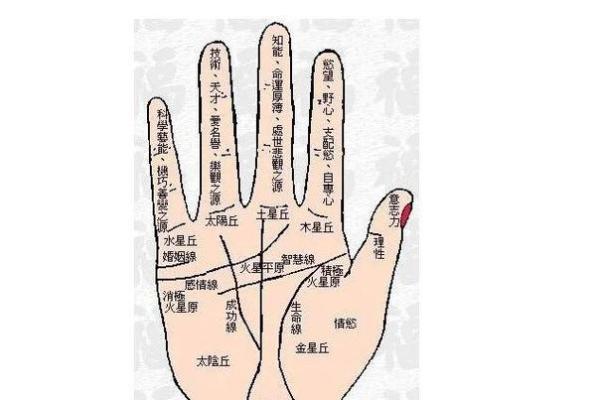 凯帝阿手相算命图解大全03