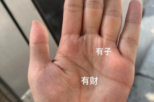 八字和手相