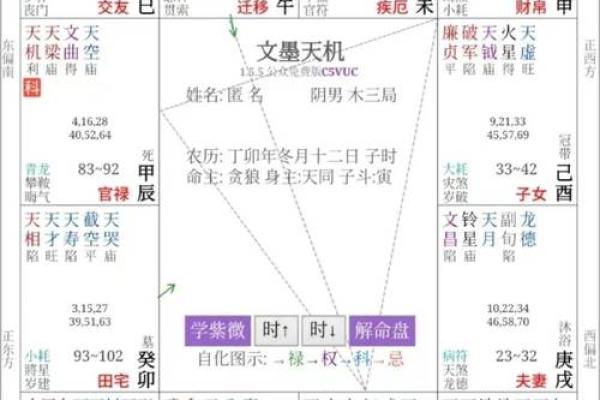 紫薇斗数格局图
