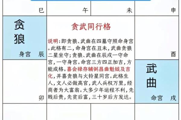 紫薇斗数格局图