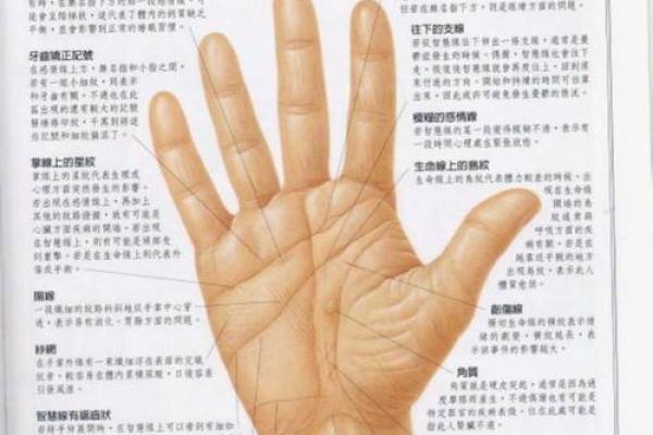 凯帝阿手相算命图解大全02