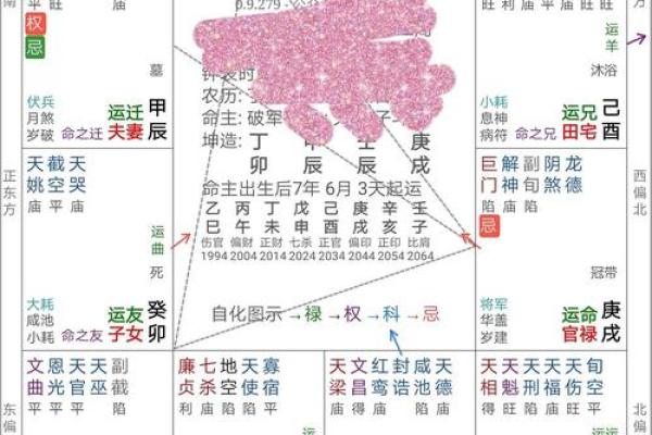 紫云大师紫薇斗数