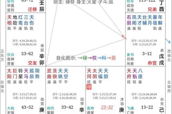 不知道时辰能看紫薇斗数吗