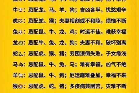 合八字属鸡和属猪的适合做夫妻吗