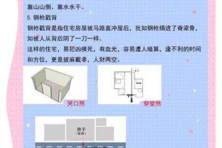 住宅设计与风水提升住宅品质的秘密