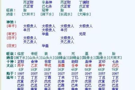 庚子日柱特点,庚子日柱八字富贵命运