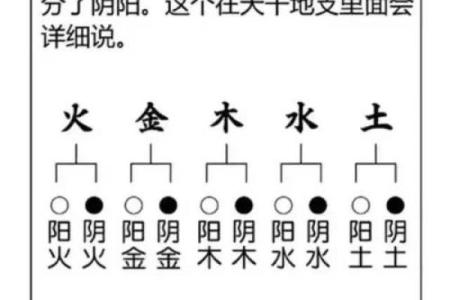 什么是五行八字