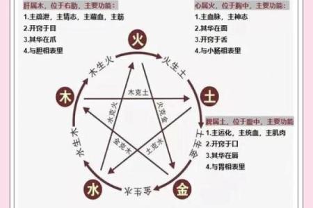 查八字五行