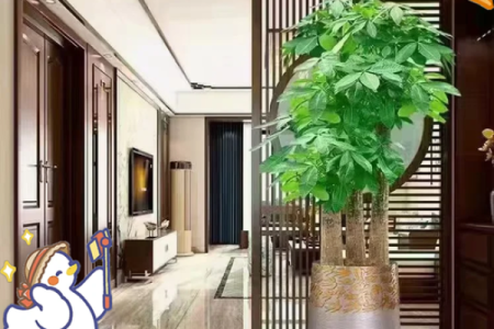 进门见什么风水好 进门时见何物风水最佳
