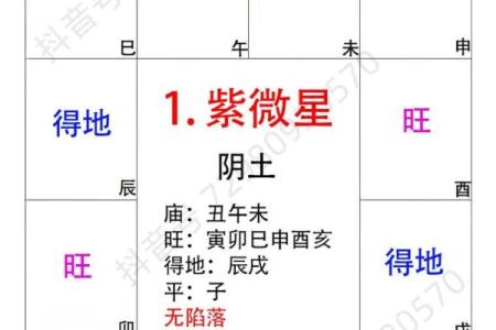 紫薇斗数庙什么意思